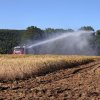 Feldflur Barbis 30.06.2018